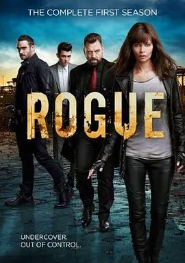 卧底情劫第三季(全集)