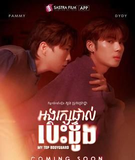 我的顶级保镖(全集)