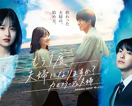要再做一次夫妇吗？～伪装夫妇～(全集)